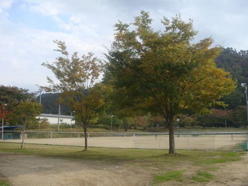 DSC08969