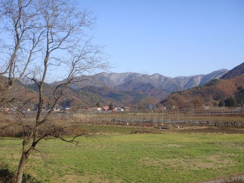 DSC00008