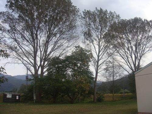 DSC08962