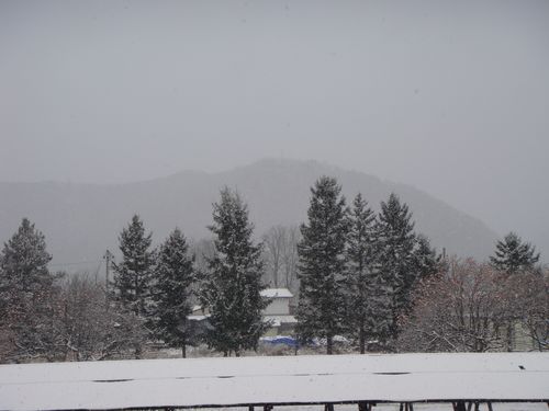 DSC00100