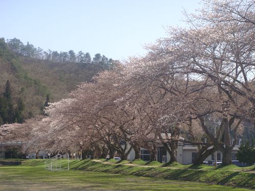 DSC01651