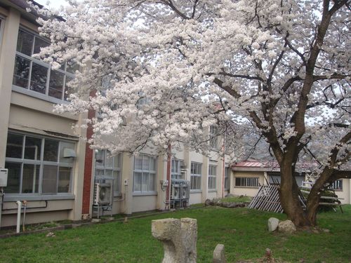 DSC01734
