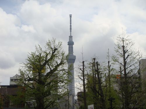 DSC01466